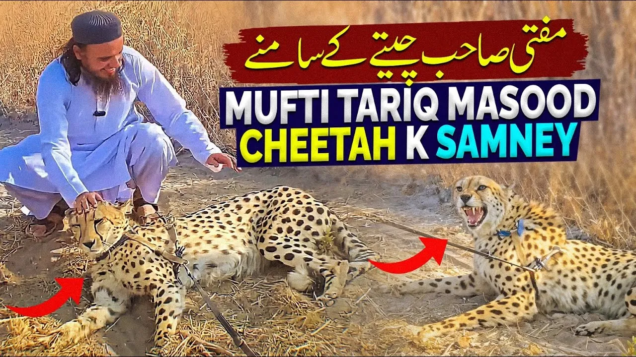 Mufti Tariq Masood Cheetah K Itney Kareeb - Africa jungle Vlog | Mufti Tariq Masood Speeches